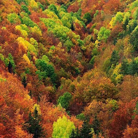 Casa vacanze Casita Pelopin