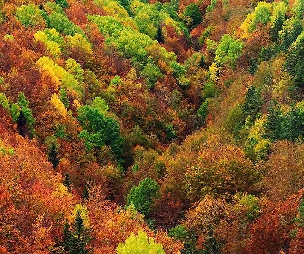 Ferienhaus Casita Pelopin